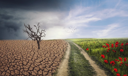 Klimaatgekte blokkeert oplossingen