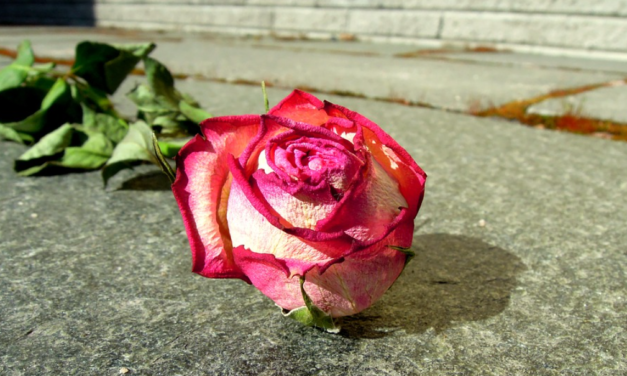 Asscher neemt geen verantwoordelijkheid