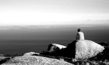 De kater van Forum voor Democratie