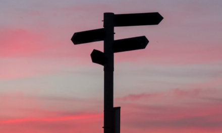 De machteloze kiezer