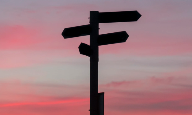 De machteloze kiezer