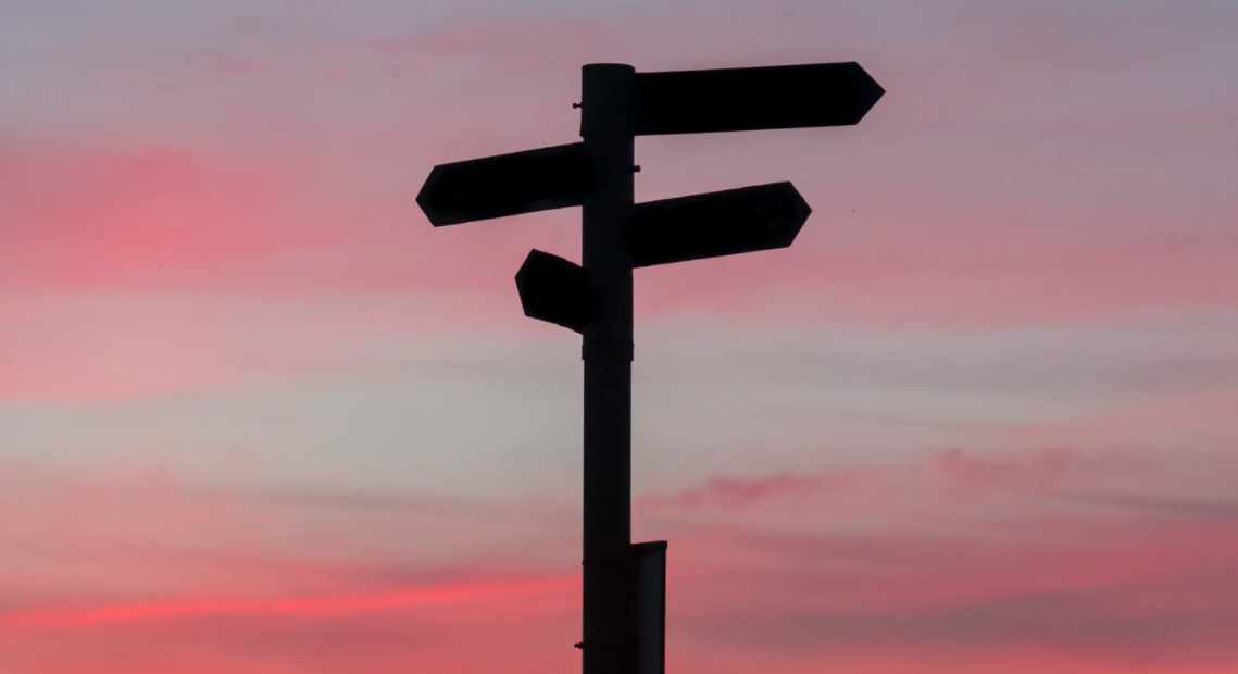 De machteloze kiezer