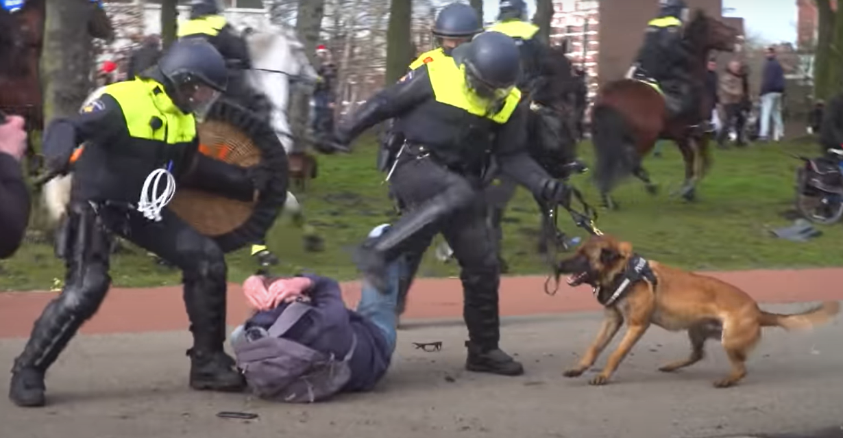 Demonstratierecht en politiegeweld