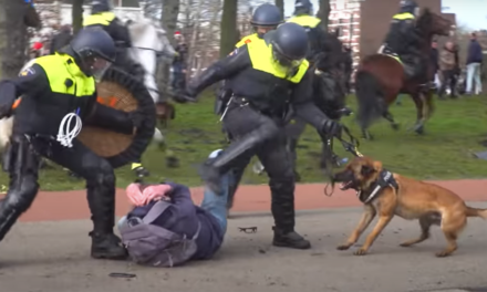 Demonstratierecht en politiegeweld