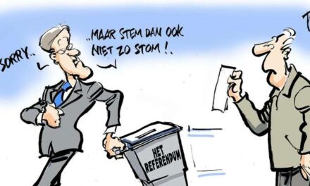 Nieuw referendumadvies klap in gezicht burger