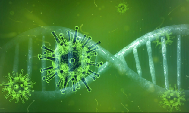 Okay, ik blijf thuis…!