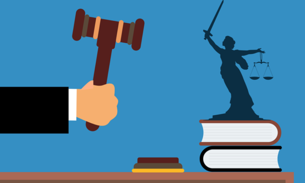 IS-vrouwen bij de rechter. Wie regeert Nederland?