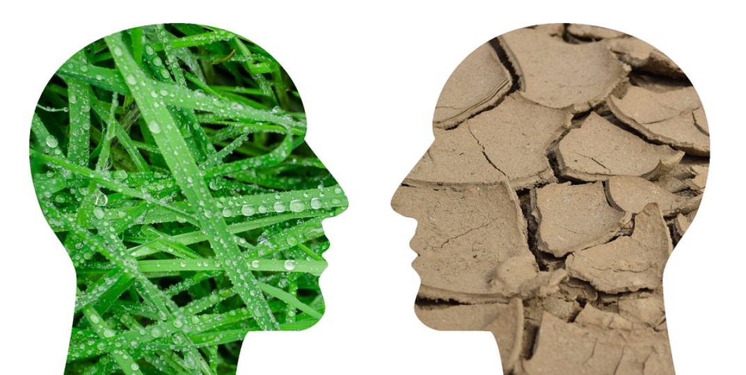 Close read boerenterreur van Ewald Engelen