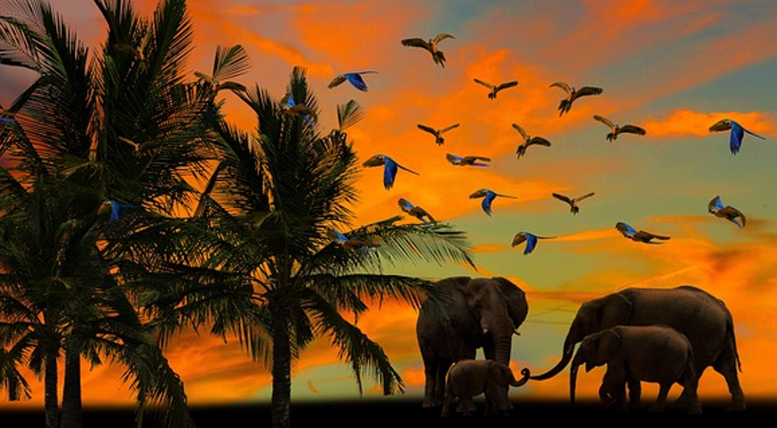 ‘Fatsoenlijke’ Twitteraars vluchten naar safe space Mastodon