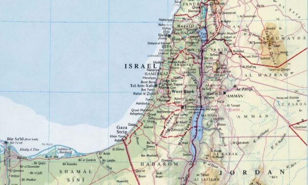 Twittercolumn over de video van professor Maurits Berger