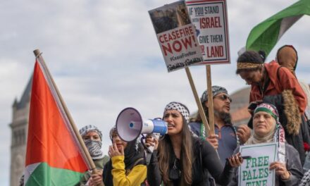 Palestina activisten hebben steeds leugens nodig