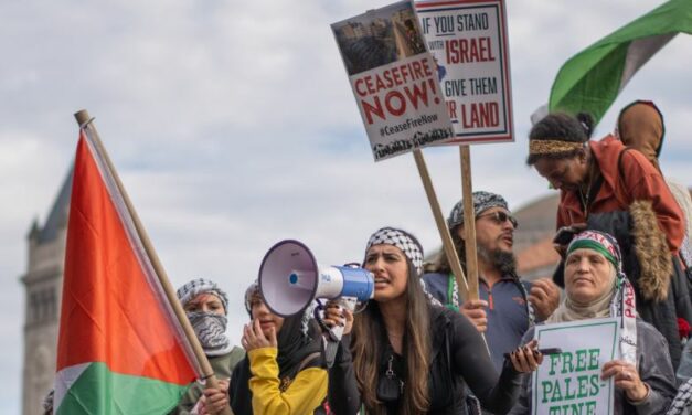 Palestina activisten hebben steeds leugens nodig