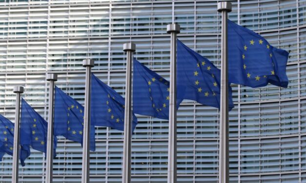 Ga stemmen! Fluit de EU-regenten terug
