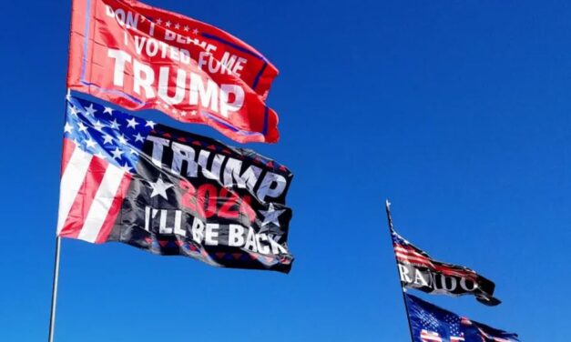 Trump won dankzij het vrije internet